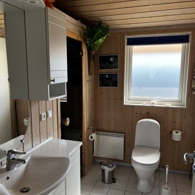 Elsdyrstienbad Sauna2