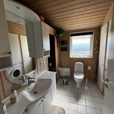 Elsdyrstienbad Sauna4